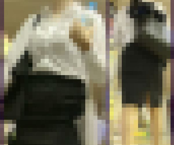 【175】リクルート就活生のブラウスを正面からじっくりと！(前編)