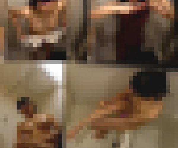 【再販】旦那の実家に帰省してきた美人妻さん 真っ白な透け透けパンティー 尻毛を手入れする恥ずかしい姿までバッチリ盗撮