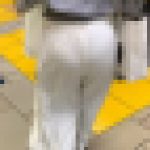 【再販】【OLシリーズ】透けてるようで透けていない。でもお尻の形は分かるエロいOL【209】