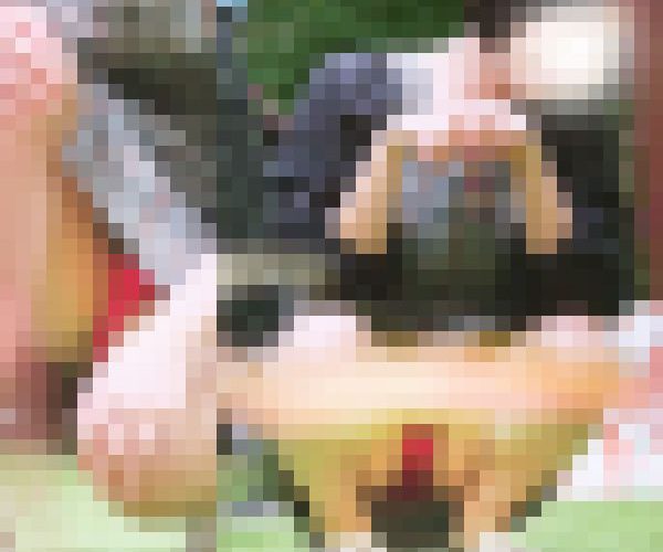 「だからＤＴなんだよ?」外でも大胆！　清純お姉さまの幸せはスカートの中に・・・