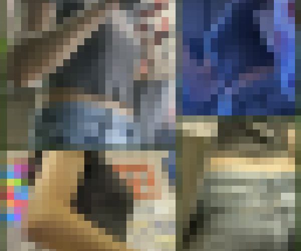 【224】夜の雨に映える迫力ボディーに並走！