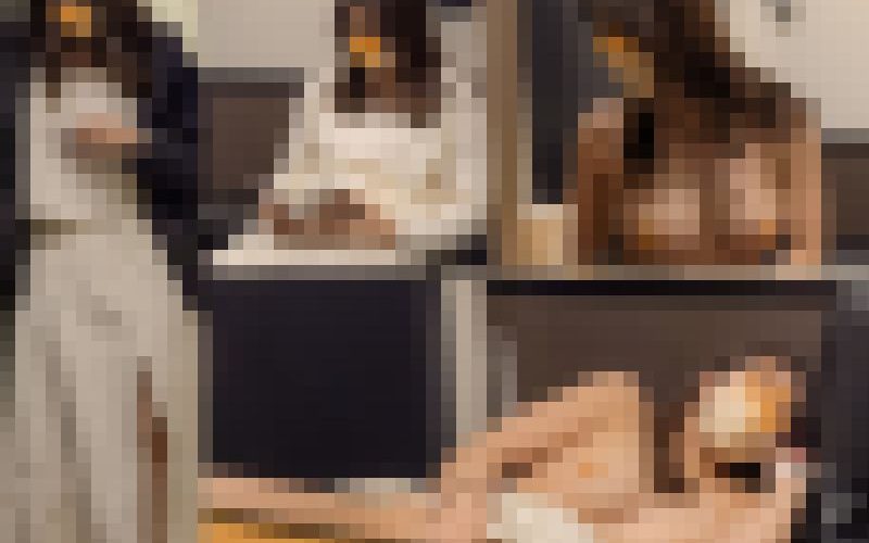 【ネカフェオナvol.95】奇跡のパーフェクトおっぱいとの出会い！お股おっぴろげで、強烈な我慢イキ！
