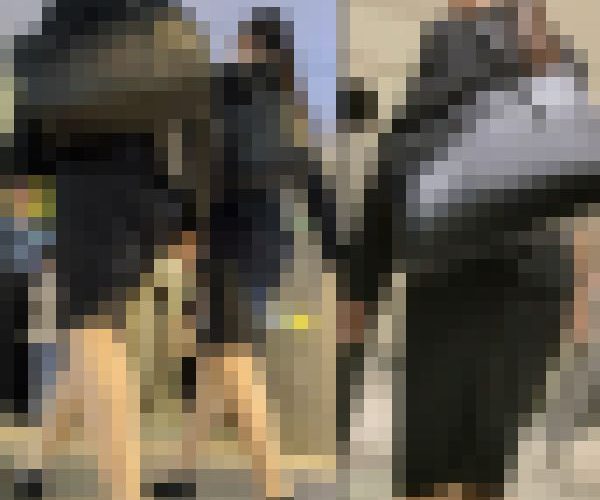 【250】ハイレベルリクルートスーツOLさんのグループ、進軍！