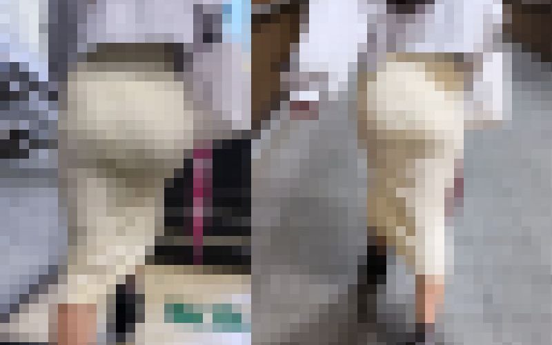 [4K]小柄なのにプリっとしたお尻のPが透けてる子