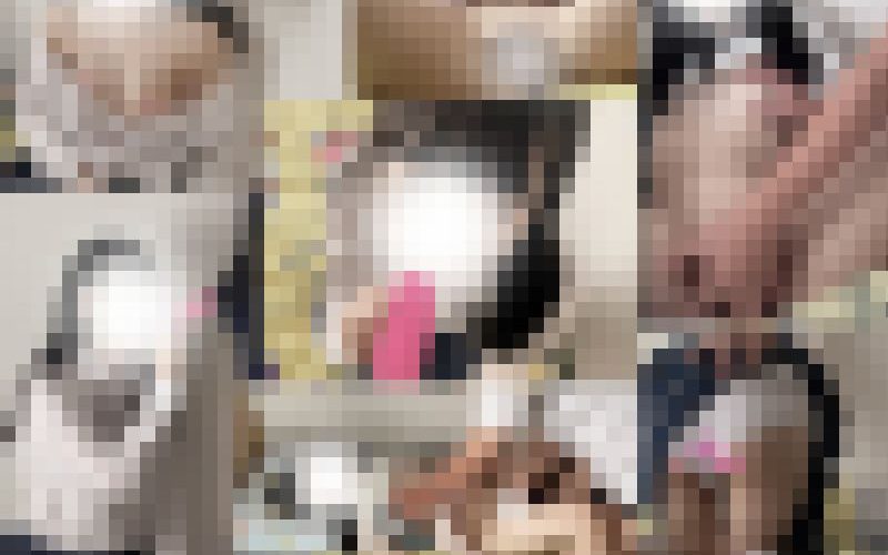 25％OFF/手マン/手コキ/素股/フェラチオ含む4作品セット/家庭内性教育