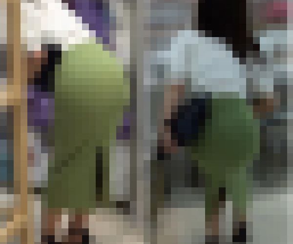 【再販】No.749「ゴージャスお姉さんの詰め合わせ（４名）」