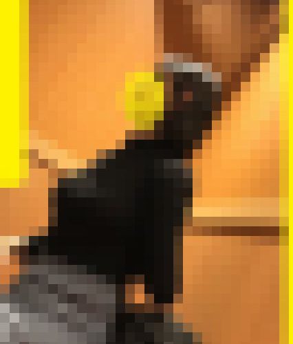 超巨乳最高最強美人妻至近距離ﾛｯｸｵﾝ＾＾