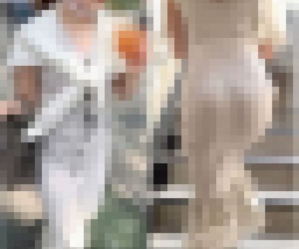【再販】No.776「マジで美女！健康ドリンクで肌を潤し出勤のアパレル店員」