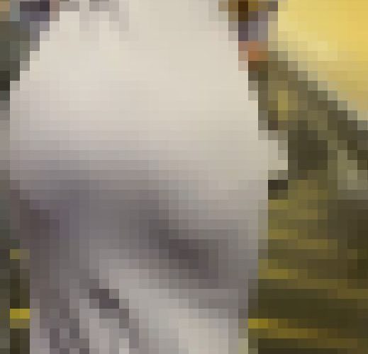 【再販】《４K・高画質》 No.822「惚れる身体！ムチムチボディーに張り付くワンピ3選」
