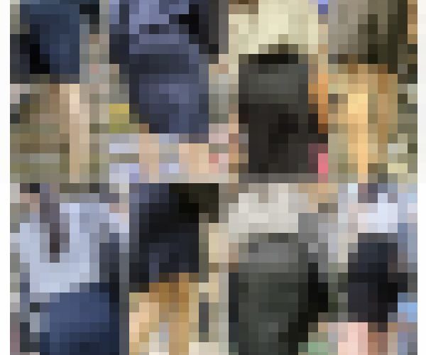 【セット販売】スーツOL作品厳選コレクション⑨