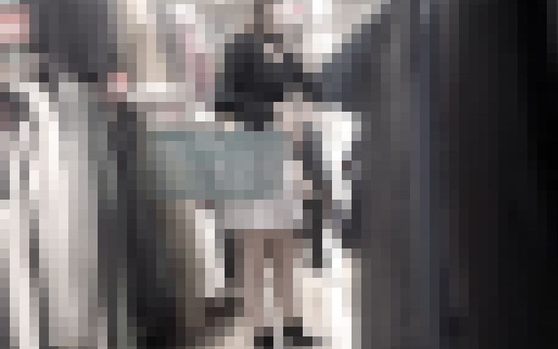 脚立パンチラで激食い込みのお姉さん。某スポーツショップで協力者と撮影。【禁断の逆さ撮り】Vol.61