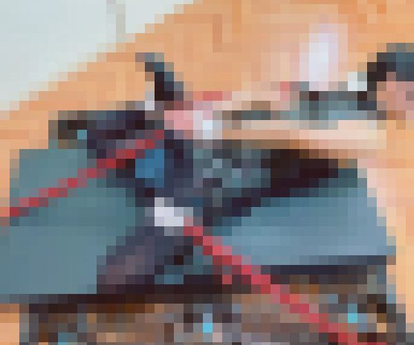 【再販】拘束バイブ責め調教