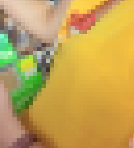 【胸チラ】登山ガールの乳輪チラ