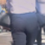 エロ脂肪を蓄えた肉厚デカ尻降臨！男が好むムッチリエロボディにジューシー巨尻とパンティラインで♂を挑発！ 未公開の秘蔵尻 編