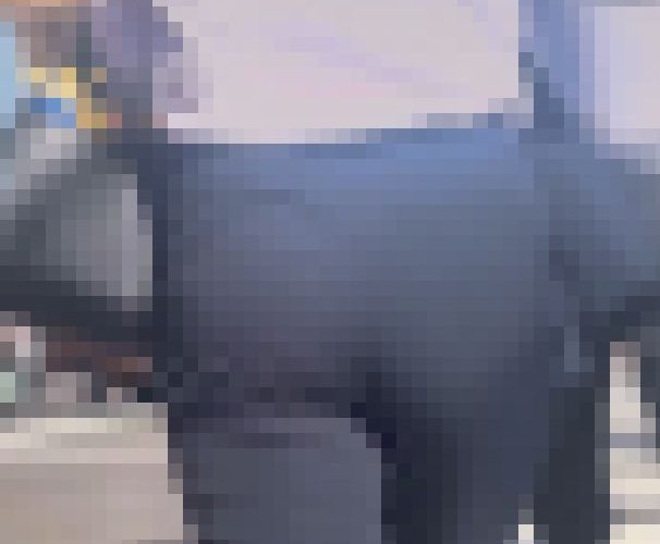 エロ脂肪を蓄えた肉厚デカ尻降臨！男が好むムッチリエロボディにジューシー巨尻とパンティラインで♂を挑発！ 未公開の秘蔵尻 編