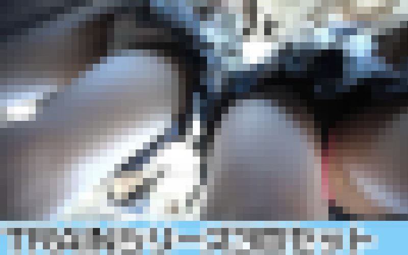 【再販】Trainシリーズ２?４の３本セット