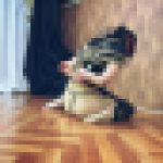 【再販】性獄の女スパイ -逃亡-
