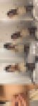 【再販】妹の携帯に入っていた彼氏とのテレセク動画を勝手に抜いたった