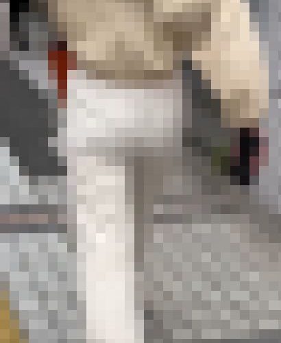 【再販】《４K・高画質》 No.965「Eカップ並みの爆乳！エロ柄Pライン透け透け妊婦」