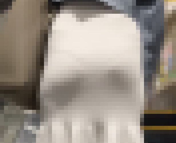 【再販】《４K・高画質》 No.971「HIPサイズ90cm超え！ハミ肉もさらけ出すGAL」