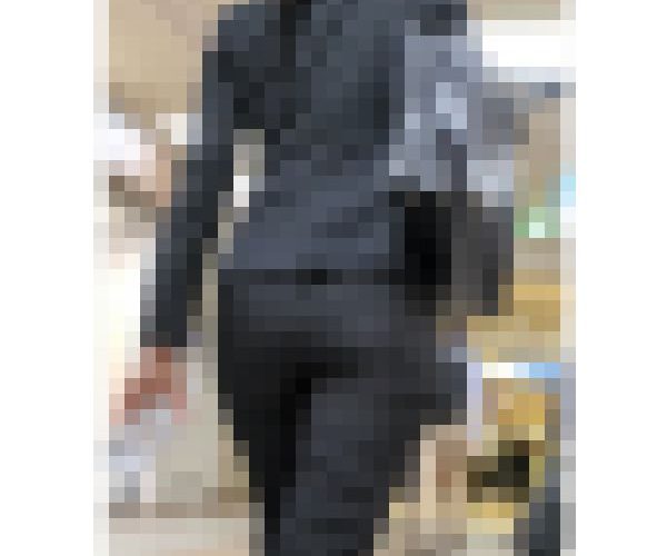 【348】圧倒的なムニムニタイトパンツのスーツOLさん！