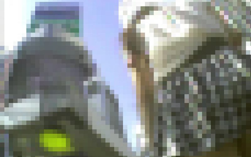 ＜10月11日までの期間販売＞旧カメ版：ミニスカギャルの歩行○ンチラ