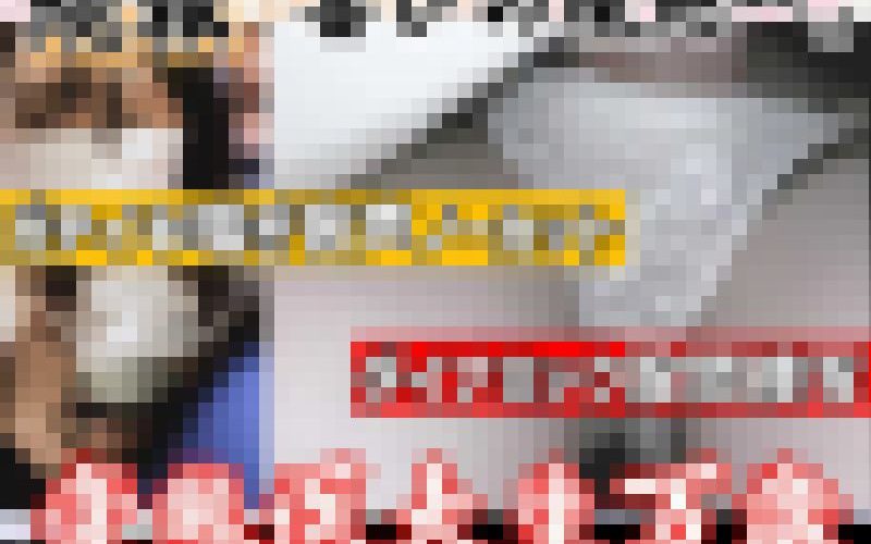 [最終区間音声ノーカット]続・喘ぎの殿堂。電車専用ガチメス理系女子大生。喜びの境地へ。