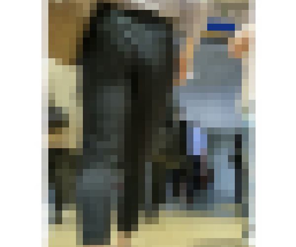 【357】大人のキャリア系パンツスーツOLさん2選！