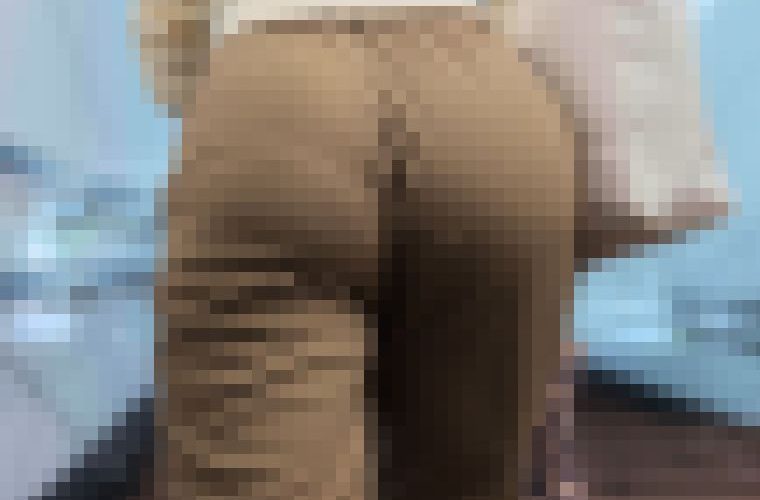 歩行記録0253「スラっとした女性のぷるぷる弾むやわらかいお尻を追跡」(2名)