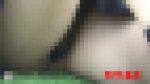 グリーンパークへようこそ214　モザイクするしかない透けP娘