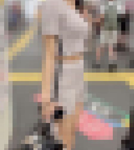 【再販】《４K・高画質》 No.1067「人気あり過ぎだろ！突然の乳揺らしで魅了する美巨乳JD」