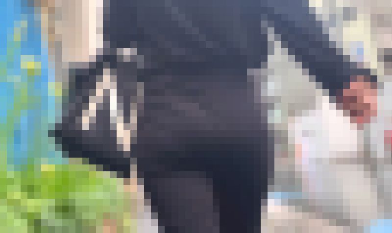 スケベ尻とパンティラインを堪能！エロケツをムニュらせてパン線＋食い込みで♂を挑発！ 下品な都会のお姉さん 編