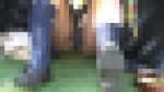 グリーンパークへようこそ218　お弁当ランチ中の制服ちゃんが丸見えな件