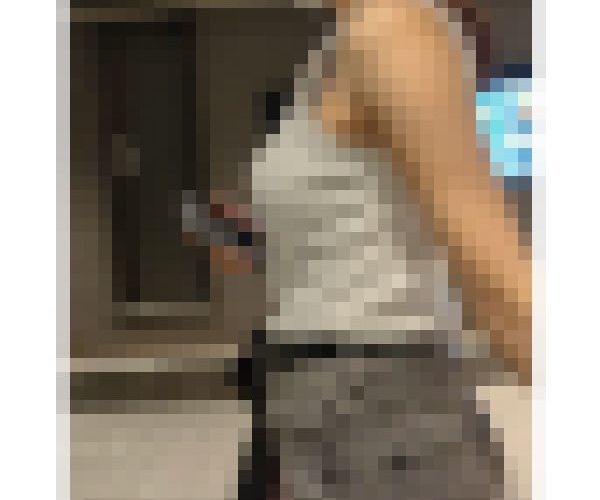 【436】魅惑のボディのお姉さんの歩行サイドアングル2編！