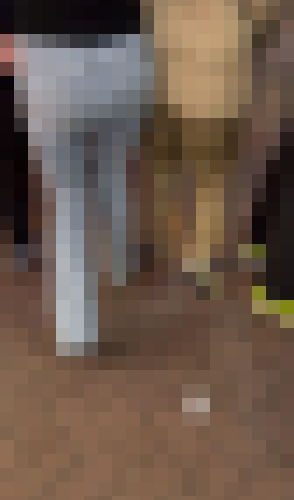 デニム女子コレクションvol.5　繁華街で目を引くプリケツなデニムの女の子の歩行シーン記録