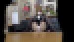 完全コンプラ違反　新人女性営業マンが外回りで汗ばんだパンティを見せつける