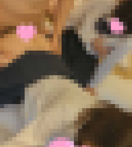 《3本セット》Y県強豪野球部女子マネ集団イジメ・私立女子校生活指導流出・S県テニス部女子新入部員イジメ動画まとめ3本セット《問題