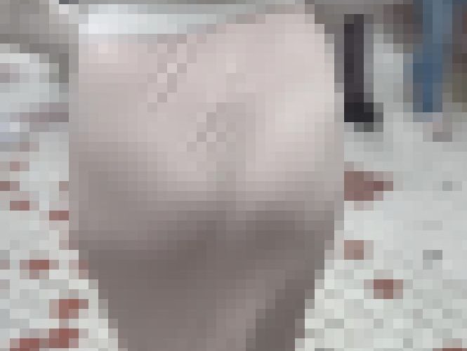 【再販】《４K・高画質》 No.1176「イヴァン○様降臨！？極透けTバックで肉尻揺らす」