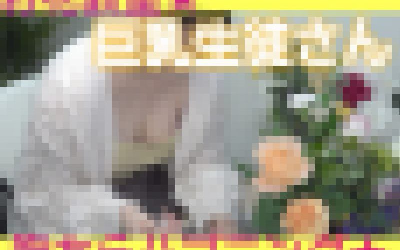 【花教室の胸ちらハプニング01】Eカップおっぱいをお持ちの令嬢生徒さん