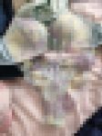 【クロッチウォッチャー】医療事務新卒3年目