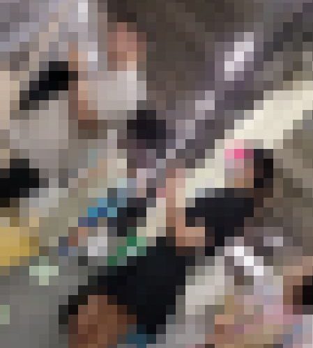 【再販】[胸チラ]黒服だけど白ブラだから乳首丸見えセット[60%OFF]