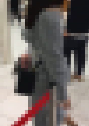 【再販】《４K・高画質》 No.1228「上玉JD！トップクラスに可愛い顔に美BODY、更にTバック」