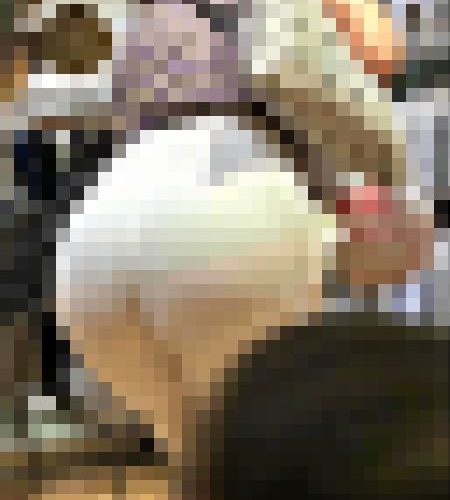 【再販】73ヤバいぐらいに透けた尻②