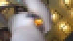 狂喜乱舞見せ杉お立ち台撮影会03　ビジュ最高級のモデルたちが色とりどりに輝くおま●こを見せつける圧巻の映像美でshow