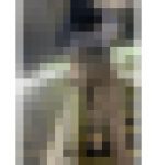 【485】はち切れそうなお尻をフリッフリのパンツOLさん！