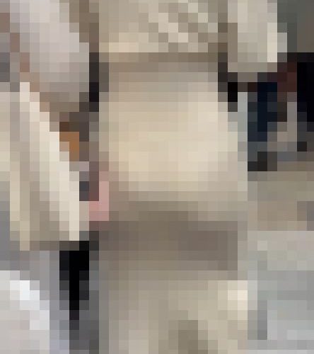 【再販】《４K・高画質》 No.1278「存在感抜群のPラインにハミ出す肉尻！美人JDの休日」