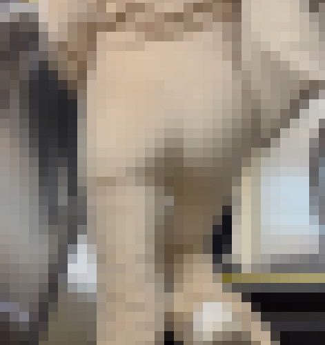 【再販】《４K・高画質》 No.1285「芸能人！？ジャージ姿の美尻美女」