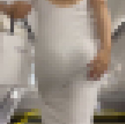 【再販】《４K・高画質》 No.1287「CUTEなハート柄パンティー！豪快にハミ出す尻肉を魅せる大迫力BODYのセレブお姉さん」