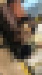 激ミニスケスケ黒タイツ変態感強め女子至近距離ロックオン！