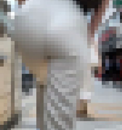 【再販】No.1306「これぞハイクラス！1000点満点の美尻の仕上がりS級キャリアウーマン」